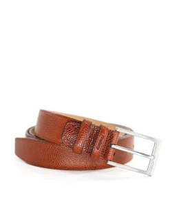 Ceinture Cuir Grainé Marron (Ancienne forme)