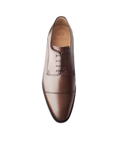 Derby ELVIS Marron Noyer