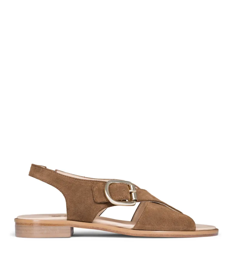 Sandales COLETTE Noisette
