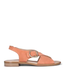 Sandales COLETTE Pêche