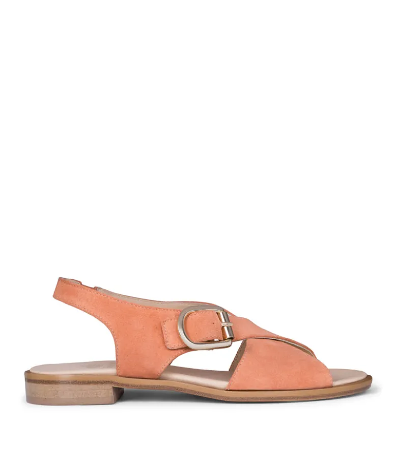 Sandales COLETTE Pêche