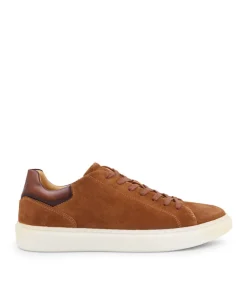 Sneakers DAYTONA Daim Camel