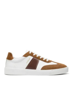 Sneakers LEO Blanc et Marron