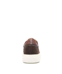 Sneakers MAGNUS Marron chiné