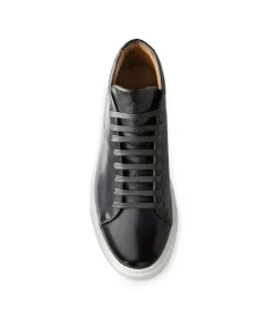Sneakers Montante MODENA Gris Patiné