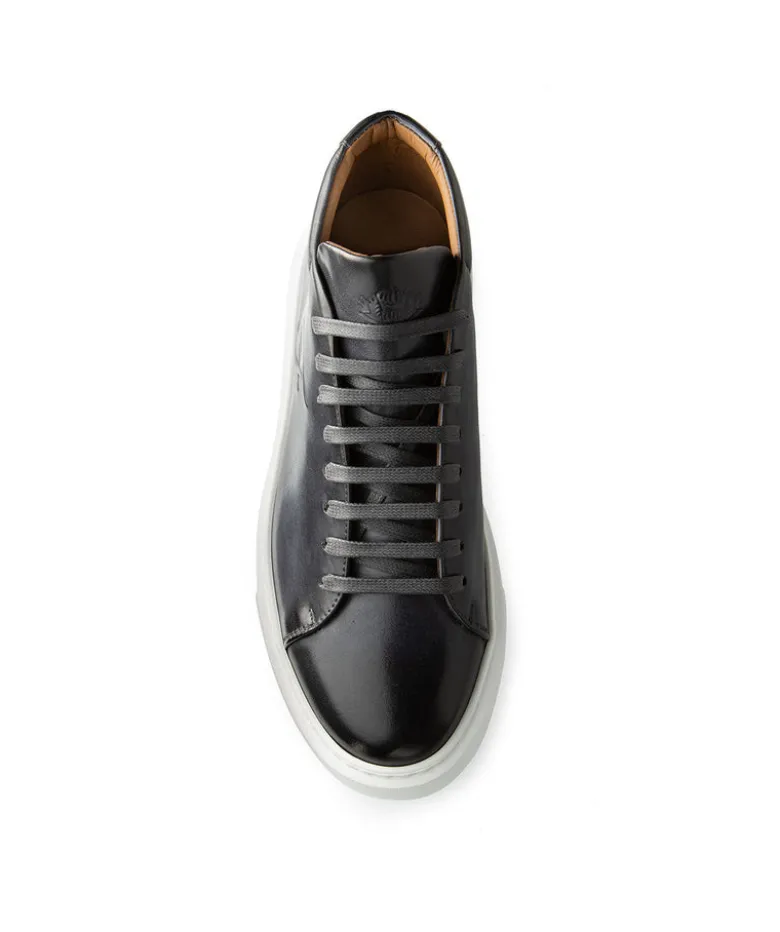 Sneakers Montante MODENA Gris Patiné