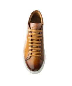 Sneakers Montante MODENA Gold