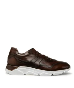 Sneakers PAOLO Marron Patiné